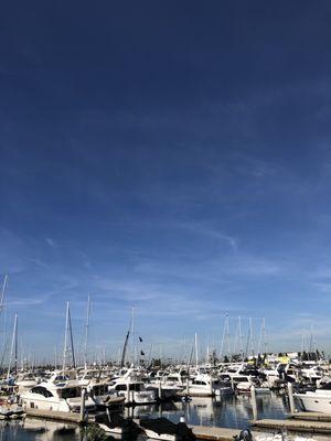 Prime Time Sportfishing