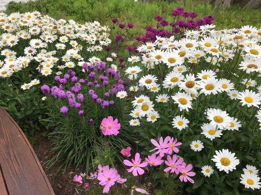 Mullett Lake Landscaping & Tree Service