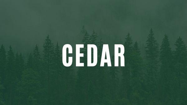 Cedar Consultants