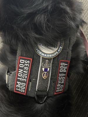 Trophy Club Animal Hospital