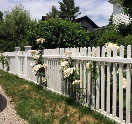 Anastasio Fence Company