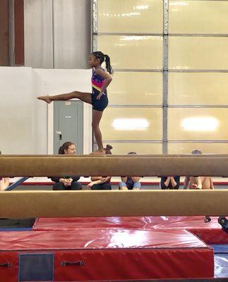 Metro Stars Gymnastics