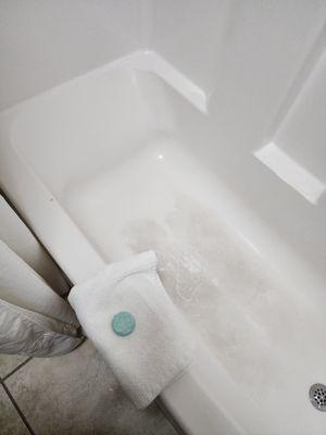 Filthy bathroom Tub!
