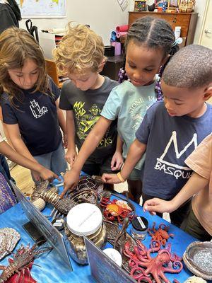 Montessori Academy Of Culver City