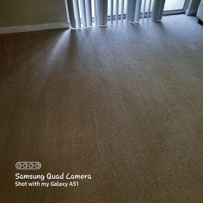 Integrity Carpet Cleaning