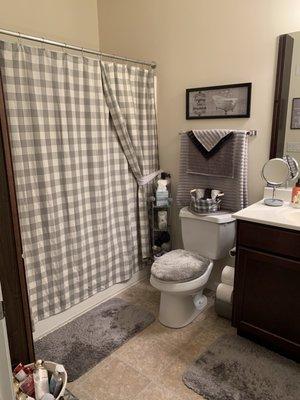 Master bathroom