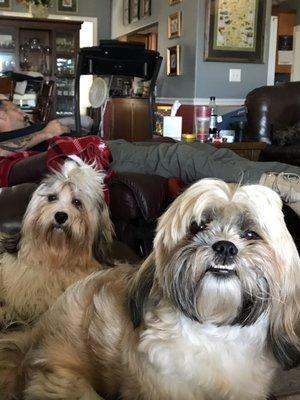 Our boys; AL and Casey