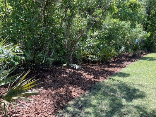 Pro Yardz Lawn & Landscape