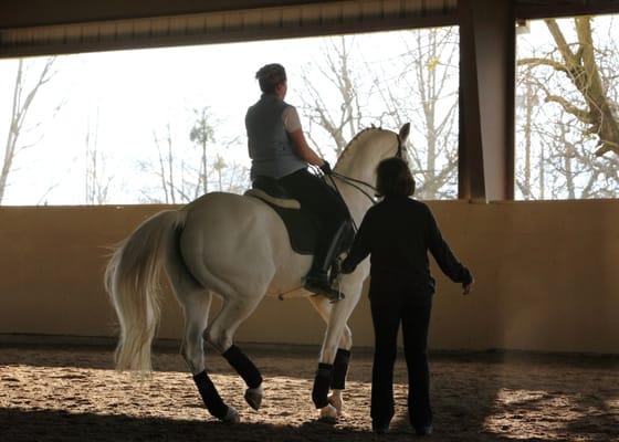Equine Sports Complex