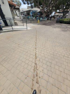 Ingardia Brothers Produce