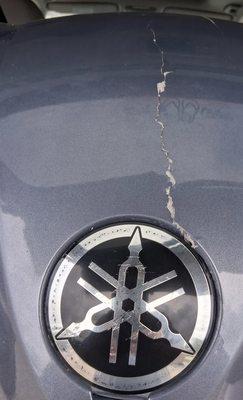 MarineMax Gulf Shores