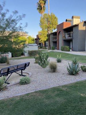 Reflections at Red Mountain