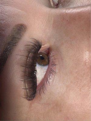 Brown wispy Lash set