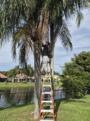 R&S ProCare And Junk Solution