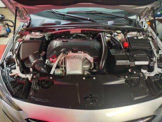 Hawk's Elite Auto Detailing