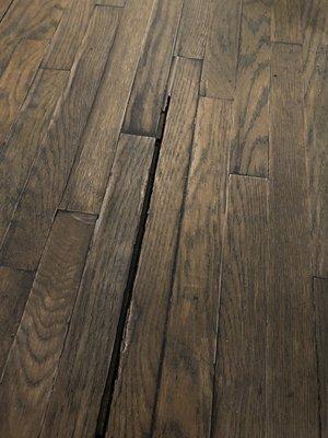 Best Coast Floor Godz