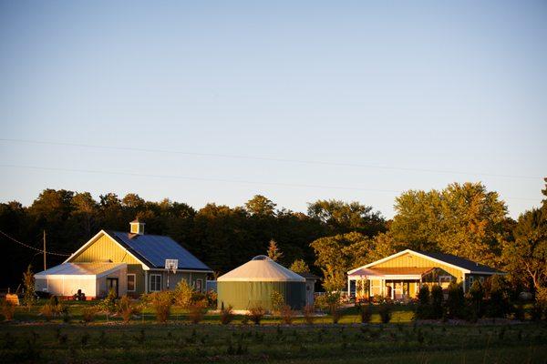 Light of Day Organics