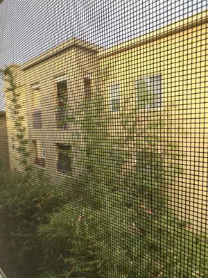 Parthenia Street Senior Housing