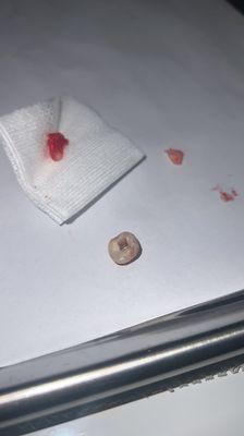 Atlanta Family Dentistry