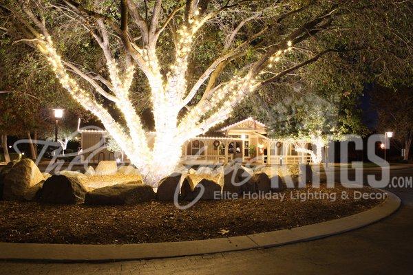 The Christmas Kings - Las Vegas