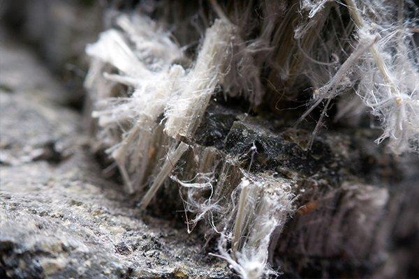 Quantum Restoration Services