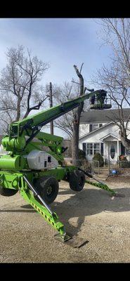 Seabee’s Tree Service