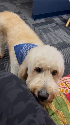 Diamond Head Chiropractic