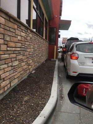 Stupidly long wait in the drive through.