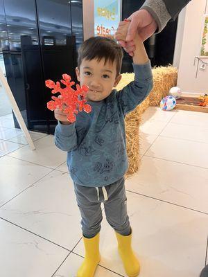 Discovery zones that invite problem-solving, creativity, and engagement.