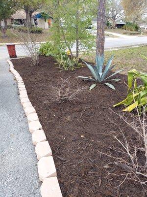 Tampa Bay Lawn Service