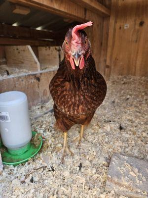 Little Urban Farmers Learning Space