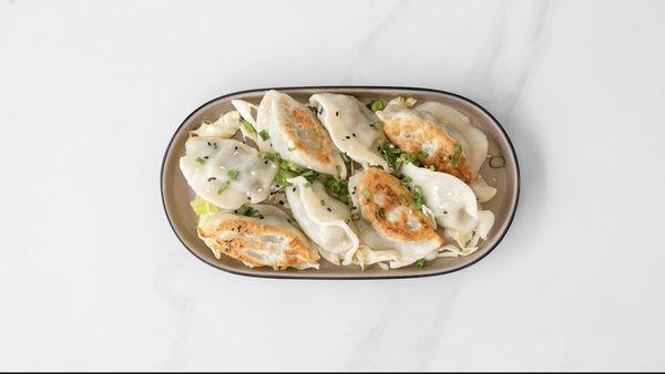 Chive pork Pan Fried  Dumplings