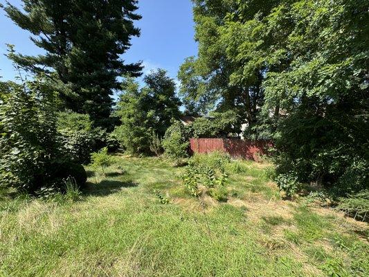 Pimentel Landscaping