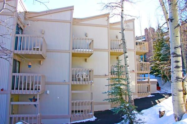 Willows Condominiums