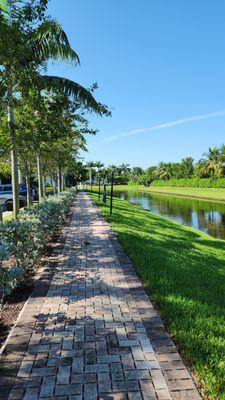 Walking path by lake