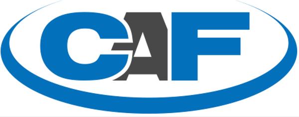 Capital Auto Finance