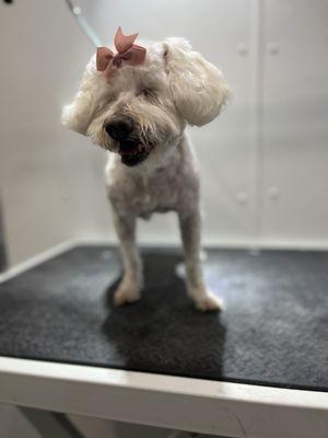 Sissy - She is 16 and completely blind.