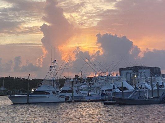 Captain Craig’s Boating Services