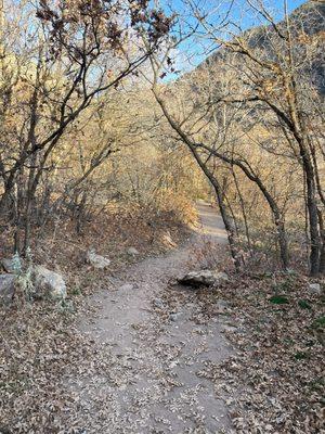 At the beginning of the trail before it gets unforgivingly steep.