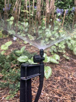Drip irrigation in Vancouver, WA