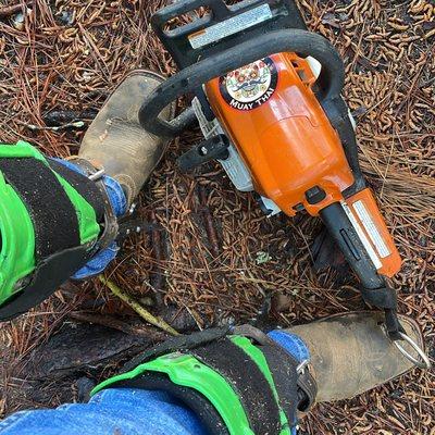 Castro's Tree Service