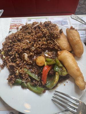 BURNED rice. - they call this fried rice. EVEN SMELLED OLD