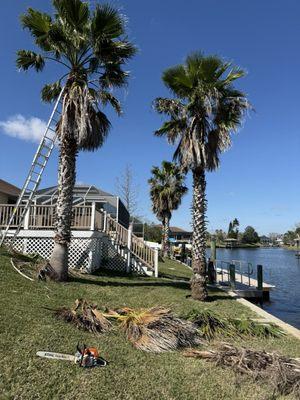 Coast Care Lawn Maintenance