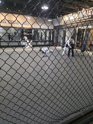 Warrior Martial Arts Academy