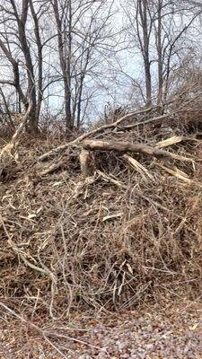 Brush pile from maintenance work..