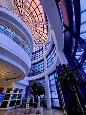 Rodrigo Arrangoiz MS, MD, FACS, FSSO