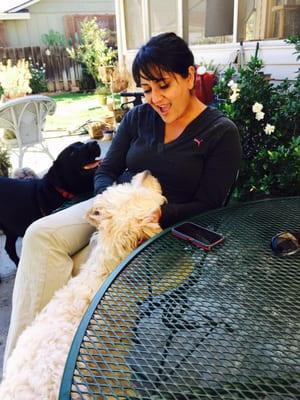 Paradise For Your Pets