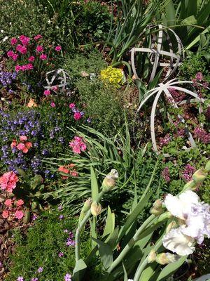 Green Mountain Garden