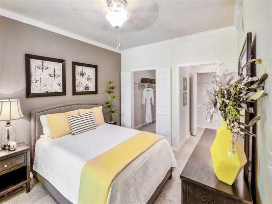Spacious bedroom with walk-in style closet, grey accent wall, queen sized bed and side table
