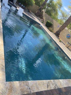 Big Dog Pool Service